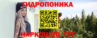 индика Бузулук