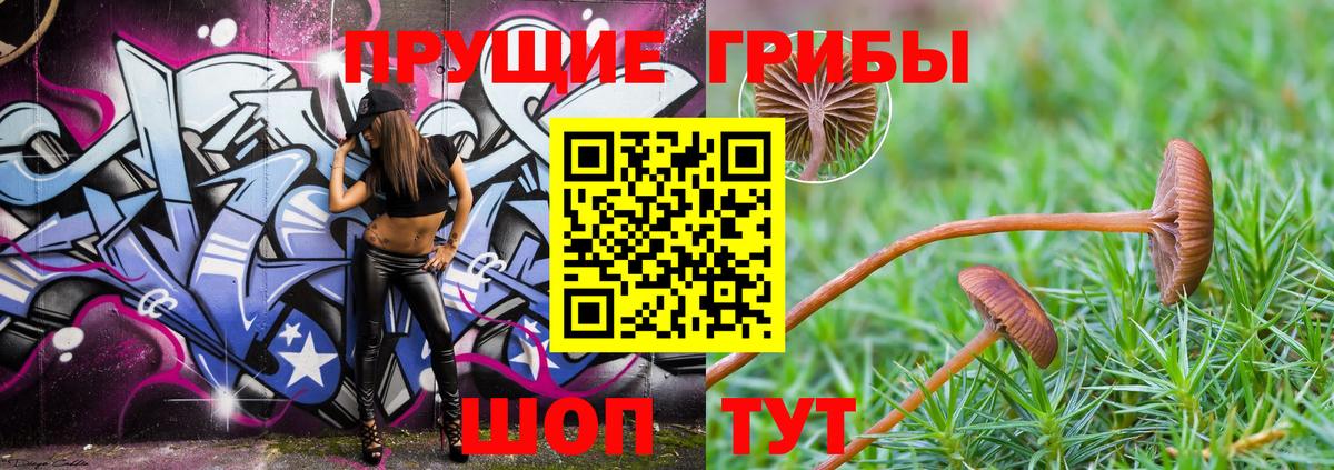 Галлюциногенные грибы прущие грибы  Вход с VPN  Благовещенск 
