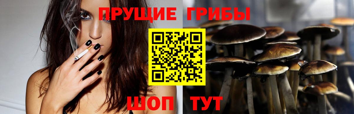 Псилоцибиновые грибы прущие грибы Благовещенск
